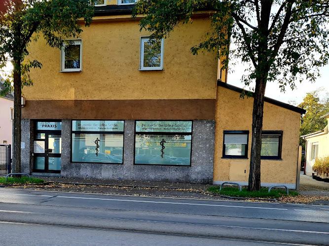 Bild von Dr.medic Ilie Urlea-Schön