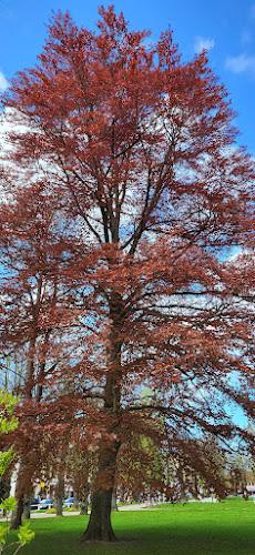 Bild von Die Hautärzte Am Kamp, Dr. Küssner/ Dr. Troitzsch