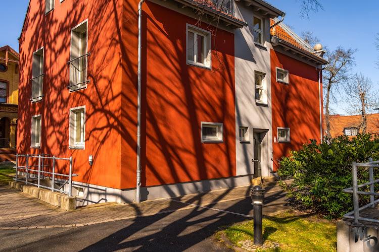 Bild von Frau Dr. med. Saskia Werner-Napp