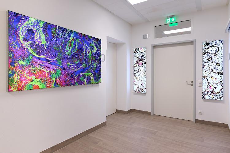 Bild von eviamed Charlottenburg - MVZ im Fürstenberg-Karree Berlin - Dysplasieprechstunde / Dermatologie