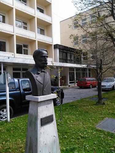 Bild von Dr.med. Oliver Hirschsteiner Georg von Liebig-Krankenhaus