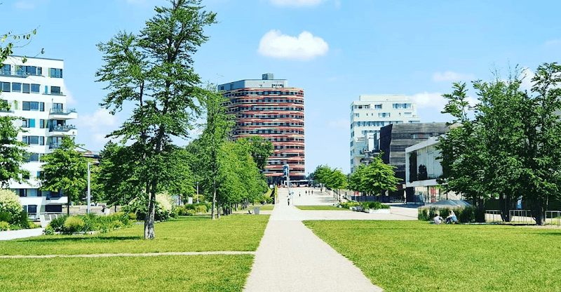 Bild von Matthias Huh