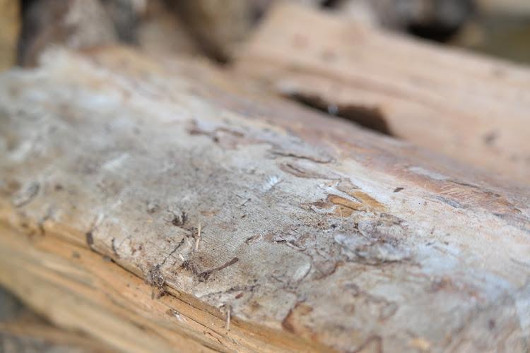 Bild von Hautarztpraxis Dr. med. Ines Brautzsch