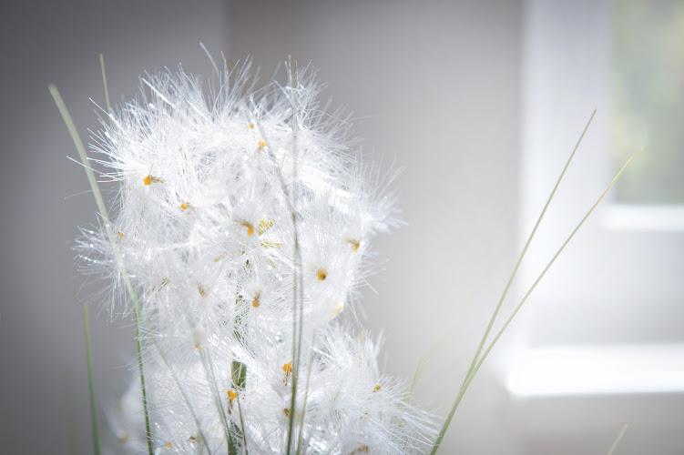 Bild von Dr. med. Nicole Mattern | Frauenärztin