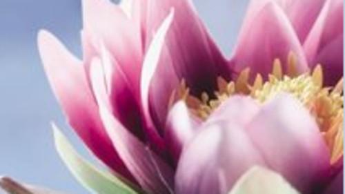 Bild von Dr. med. Birgit Petersohn