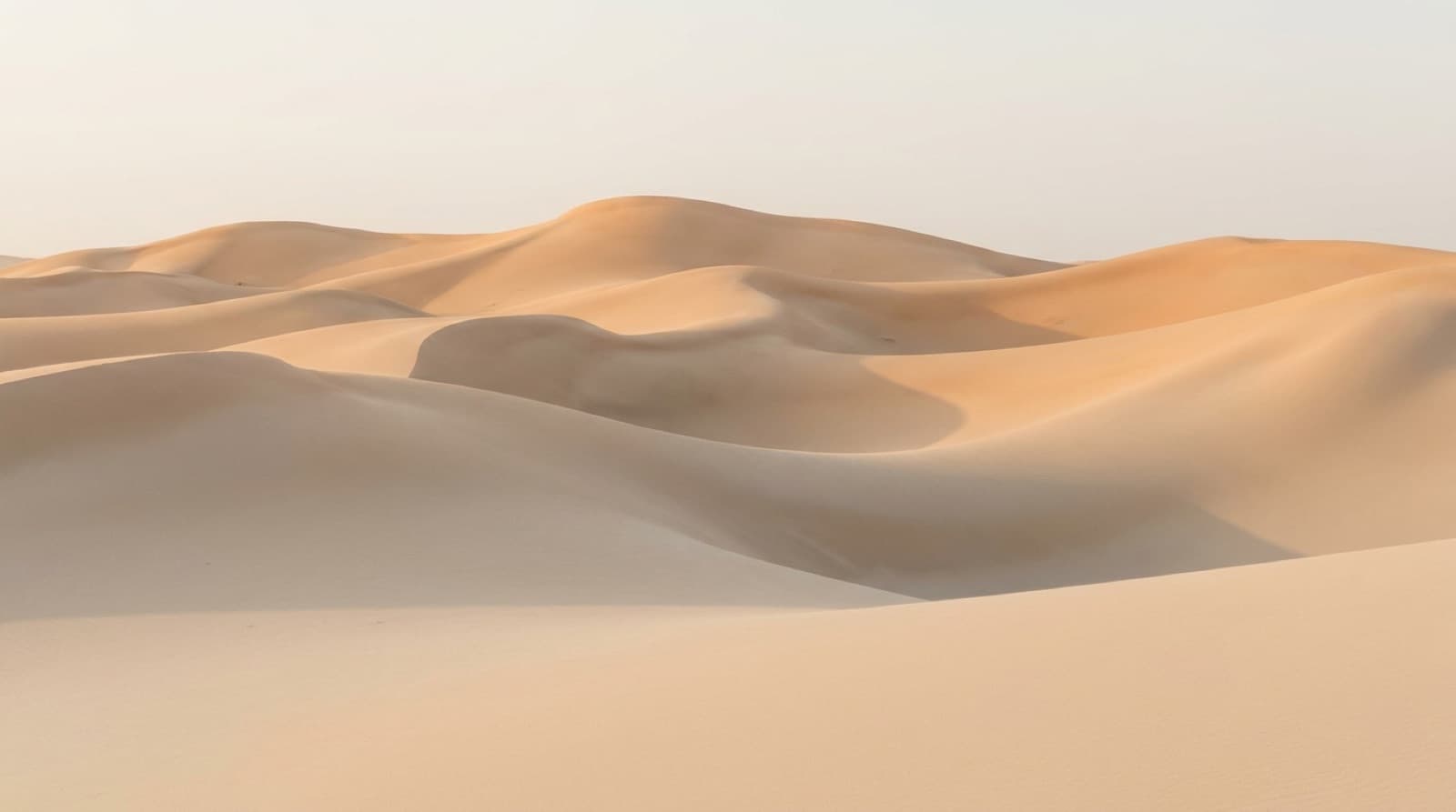 Sanft geschwungene Sanddünen im warmen Morgenlicht mit weichen Schatten in den Mulden unter einem blassen Himmel